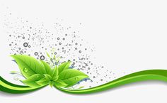 an abstract green background with leaves and bubbles