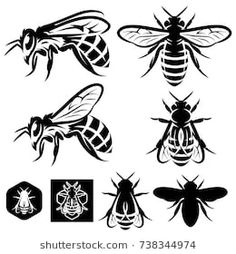 set of black and white honeybees with different patterns on the body for tattoo or t shirt design