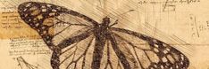 a drawing of a butterfly sitting on top of a piece of paper