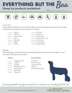 an animal worksheet with the words everything but the baa written below it