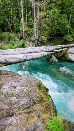 a log that is laying on some rocks in the water near a river and trees