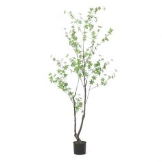 Even the concrete jungle gets a natural and green new look with this artificial Enkianthus tree. Boasting realistic elements and a low-maintenance design, this faux plant is truly a brilliant choice for Boho Entryway, Farmhouse Style Living Room, Artificial Plants And Trees, Eucalyptus Tree, Artificial Trees, Potted Trees, Money Trees, Delicate Beauty, Low Maintenance Plants