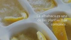 oranges and lemon slices are arranged in ice cubes with the words, la albahaca es una de las plantas mas comunines