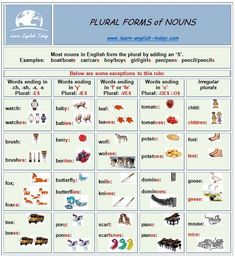 a poster with words and pictures on it that include animals, plants, and other things