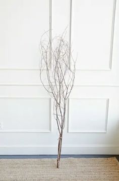 a bare tree is standing in front of a white paneled wall and rug on the floor