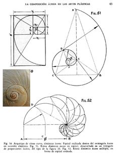 the diagram shows how to draw an object in three different ways, including circles and spirals