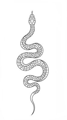 a black and white drawing of a snake