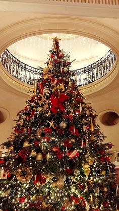 a decorated christmas tree in the middle of a building