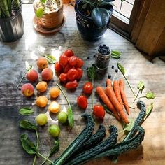 various fruits and vegetables sitting on a table next to a potted plant in a window sill