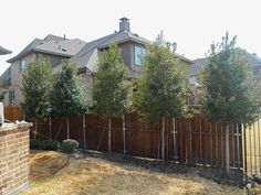 a fence is in front of a house with trees on the other side and grass behind it