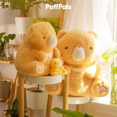 two stuffed animals sitting on top of a wooden chair next to a potted plant