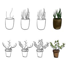 four potted plants are shown in different shapes and sizes