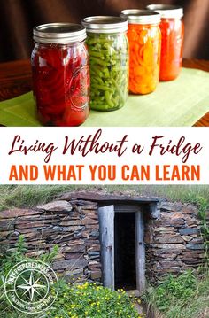 Freezer Root Cellar, Preppers Pantry Stockpile, Pantry Stockpile, Preppers Pantry, Root Cellar, Homestead Survival