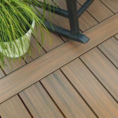 a potted plant sitting on top of a wooden deck