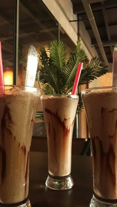 three glasses filled with ice cream and chocolate milkshakes next to a potted plant