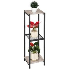 three tiered plant stand with two potted plants on top and one flower in the bottom