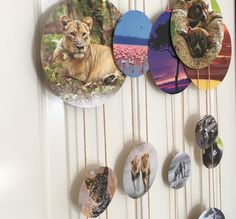 there are many magnets on the wall with pictures of animals hanging from it's sides