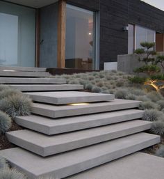 the steps are made out of concrete and have plants growing on each side, along with gravel