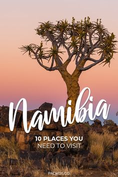 a tree with the words namibia in front of it and an image of a desert landscape