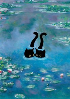 two black cats floating in water with lily pads