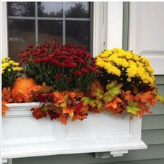 a window box filled with lots of colorful flowers