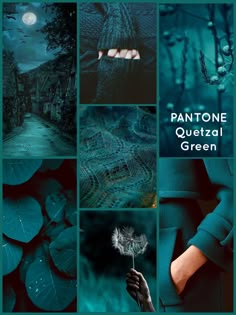 a collage of photos with the words pantonee quetzal green on them