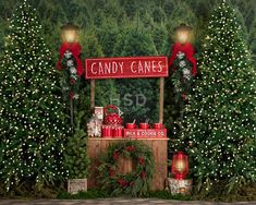 a christmas display with candy canes and presents