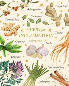 herbs for inflamation are shown here