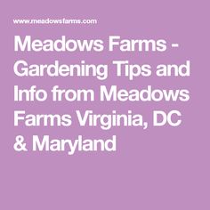 the words meadows farms gardening tips and info from meadows farms, dc & mayland