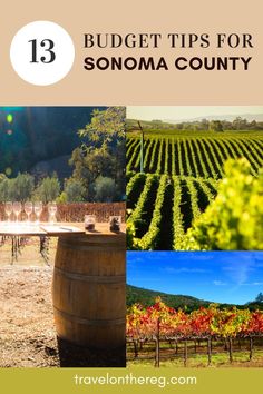 Winery landscapes with text: 13 Budget Tips for Sonoma County Country Vacation, Bodega Bay, I'm Sick