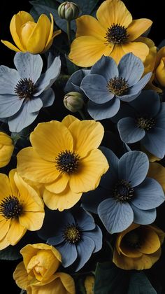 yellow and blue flowers with green leaves