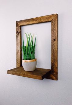 a potted plant sitting on top of a wooden shelf