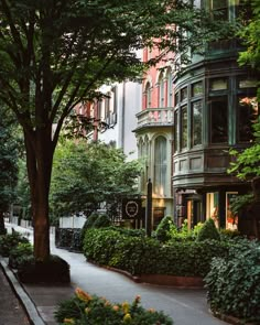 a street lined with trees and bushes next to tall buildings