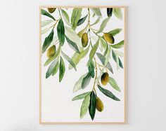 an olive tree branch with green leaves and yellow fruits hanging on the wall above it