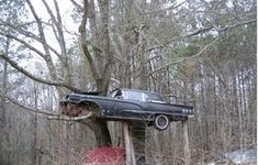 an old car that is sitting on top of a tree