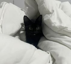 a black cat peeking out from under the covers