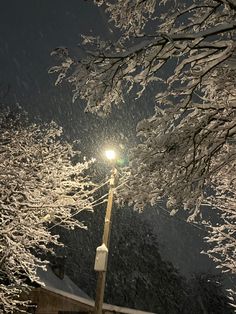 a street light in the middle of a snow covered forest at night with lights on