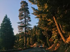 a car is driving down the road in front of some tall trees and pine trees