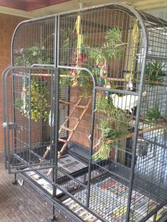 a bird cage filled with lots of different types of plants