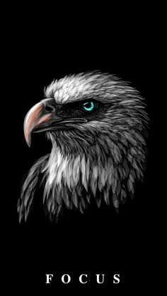 an eagle's head with the words focus in front of it and blue eyes