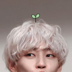 a man with white hair and a green flower on top of it's head