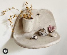 a white shelf with shells and a plant in it next to a wall mounted potted plant