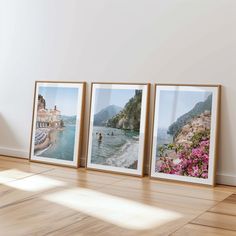 three framed pictures on the wall next to each other in a room with hard wood flooring