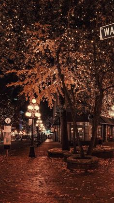 a street sign is lit up at night in front of a tree with leaves on it