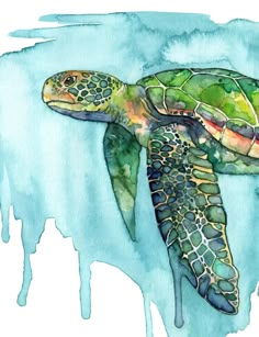 a watercolor painting of a green turtle swimming in the ocean with algae on it's back