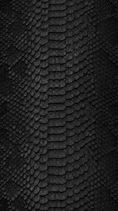 black snake skin textured up close to the camera