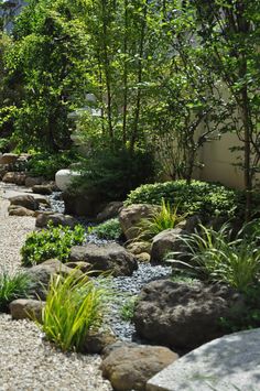 an iphone screenshot of a garden with rocks and plants in the foreground,