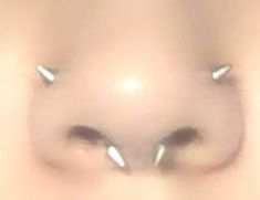 Eyebrow Piercing Pointy, Face Piercings Nose, Spikey Ear Piercings, Picerings Ideas Face, Spikey Septum Piercing, Face Peircing Ideas, Spiky Nose Piercing, Different Piercings Ideas Face, Eyebrow Piercings Aesthetic