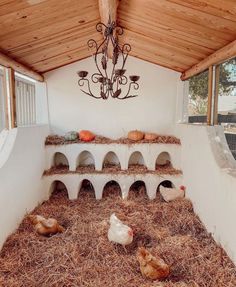 several chickens are laying in hay under a chandelier