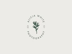 the logo for alcia white photography